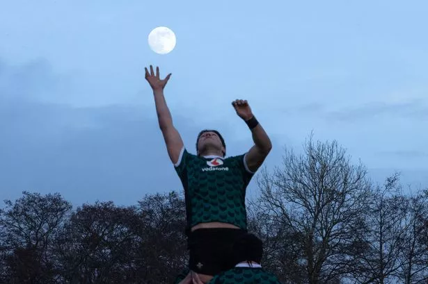 0_CDF_240124_CF_Wales_Rugby_Training_037.jpg