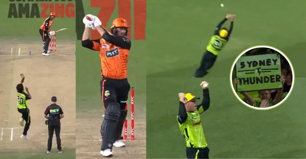 David-Warner-1-1.webp.webp