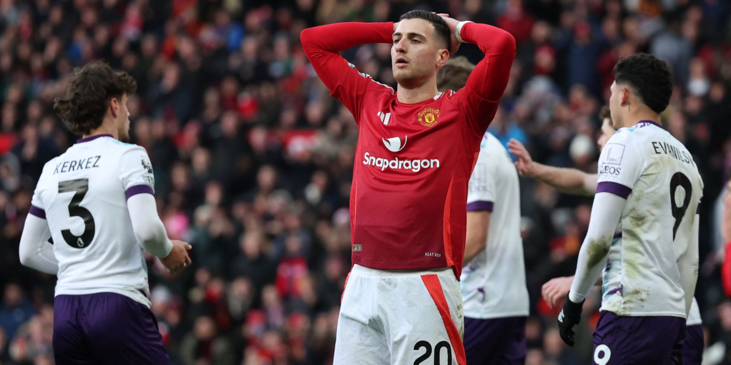 dalot-1.jpg