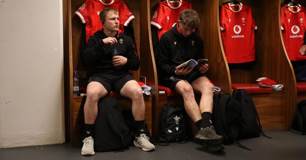 1_CDF_150325_CF_Wales_v_England_024JPGjpgright.jpg