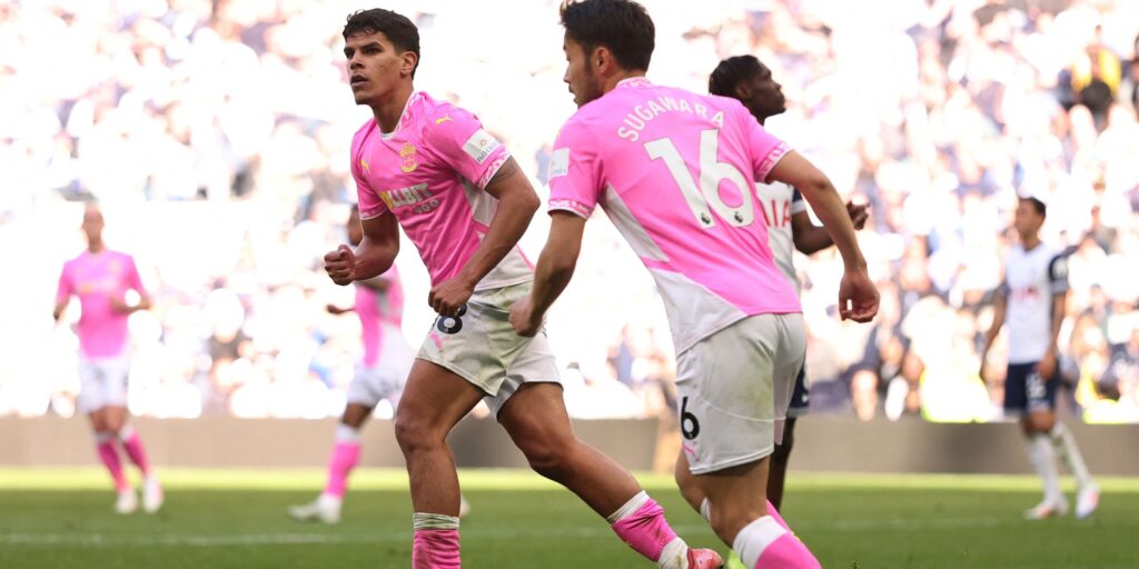 southampton-s-mateus-fernandes-celebrates-scoring-their-first-goal.JPG