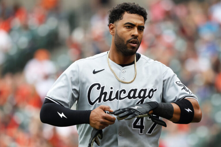 Joshua_Palacios_White_Sox-1024x683.jpg