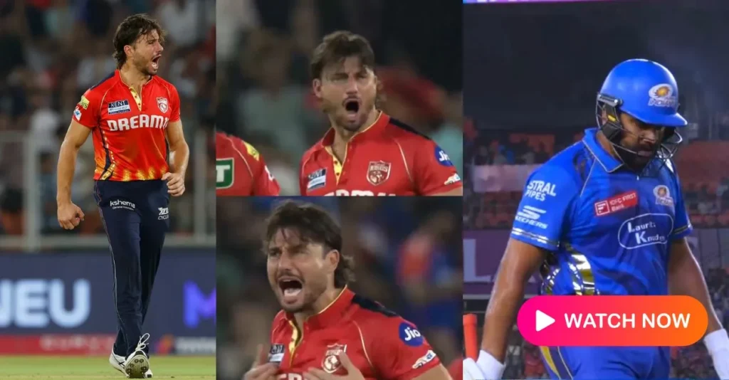 Marcus-Stoinis-pumped-up-celebration-after-dismissing-Rohit-Sharma-in-IPL-2025-Qualifier-2.webp.webp