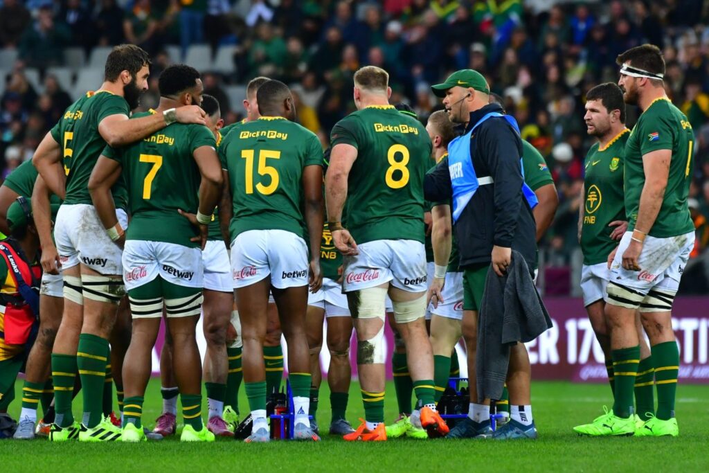 Springboks-baa-baas-e1751130865725.jpg